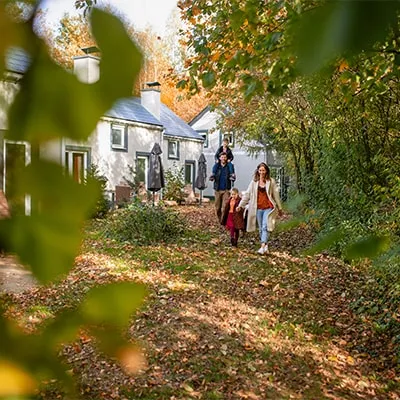 Evergreenz, foto van de zaak zelf