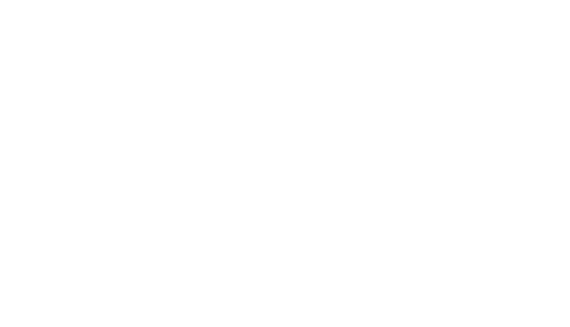 Logo Bright Side