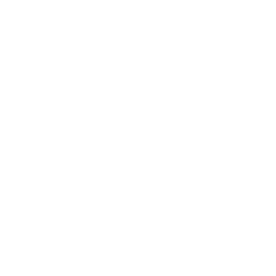 Logo Van Wanssum