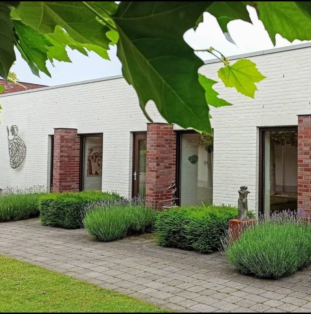 Irok, foto van de locatie zelf
