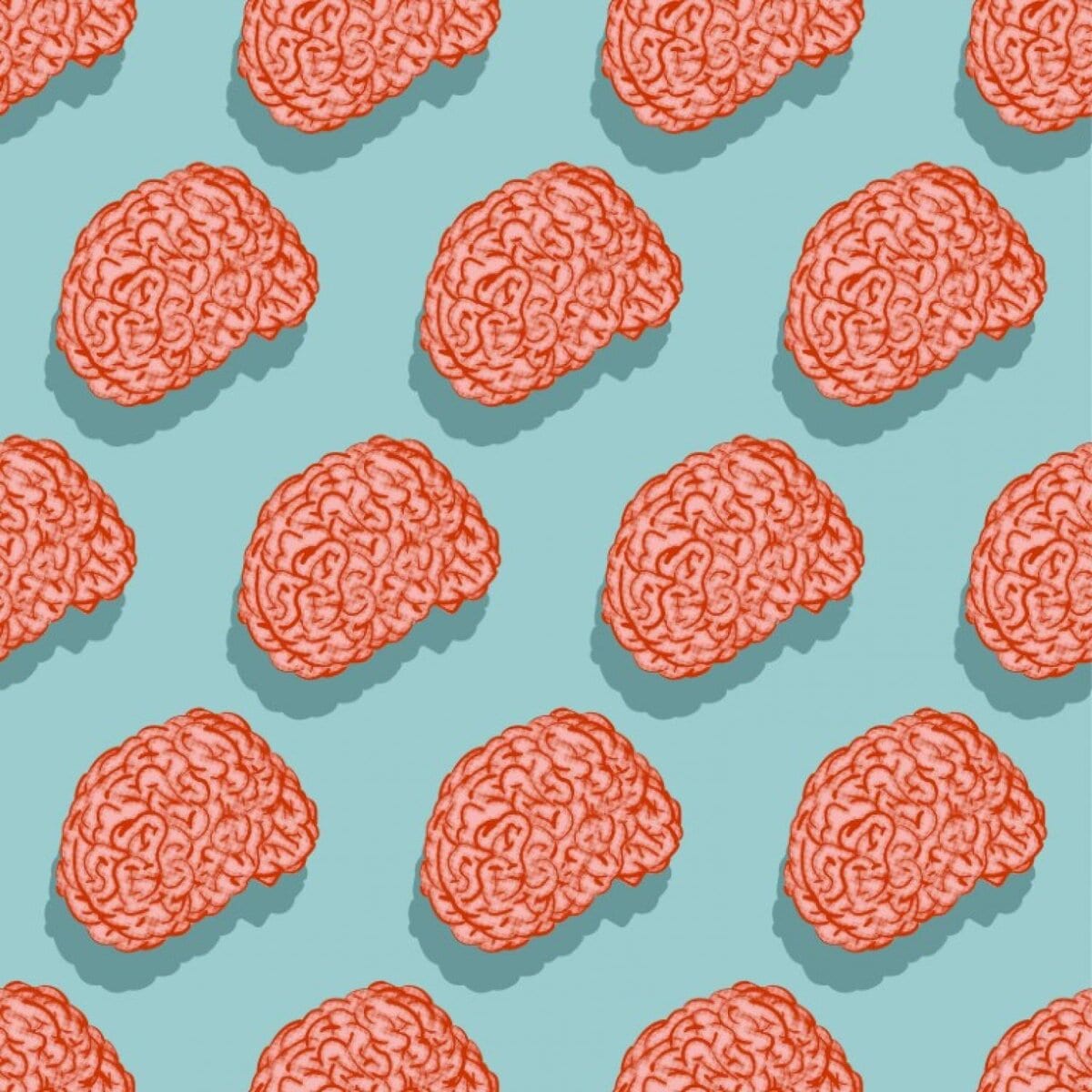 Onzichtbaar ziek: Epilepsie, beeld van de organisator