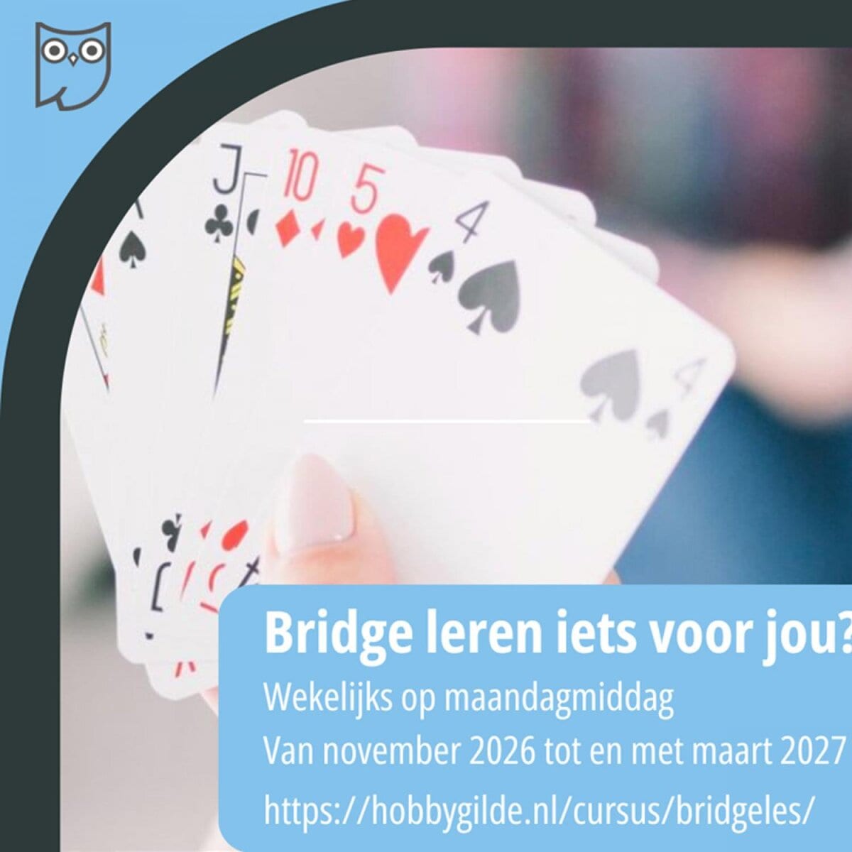 Cursus: Bridge, beeld van de organisator