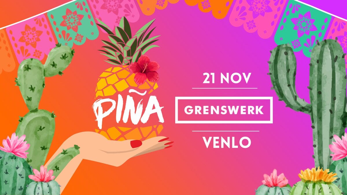 PIÑA, beeld van de organisator