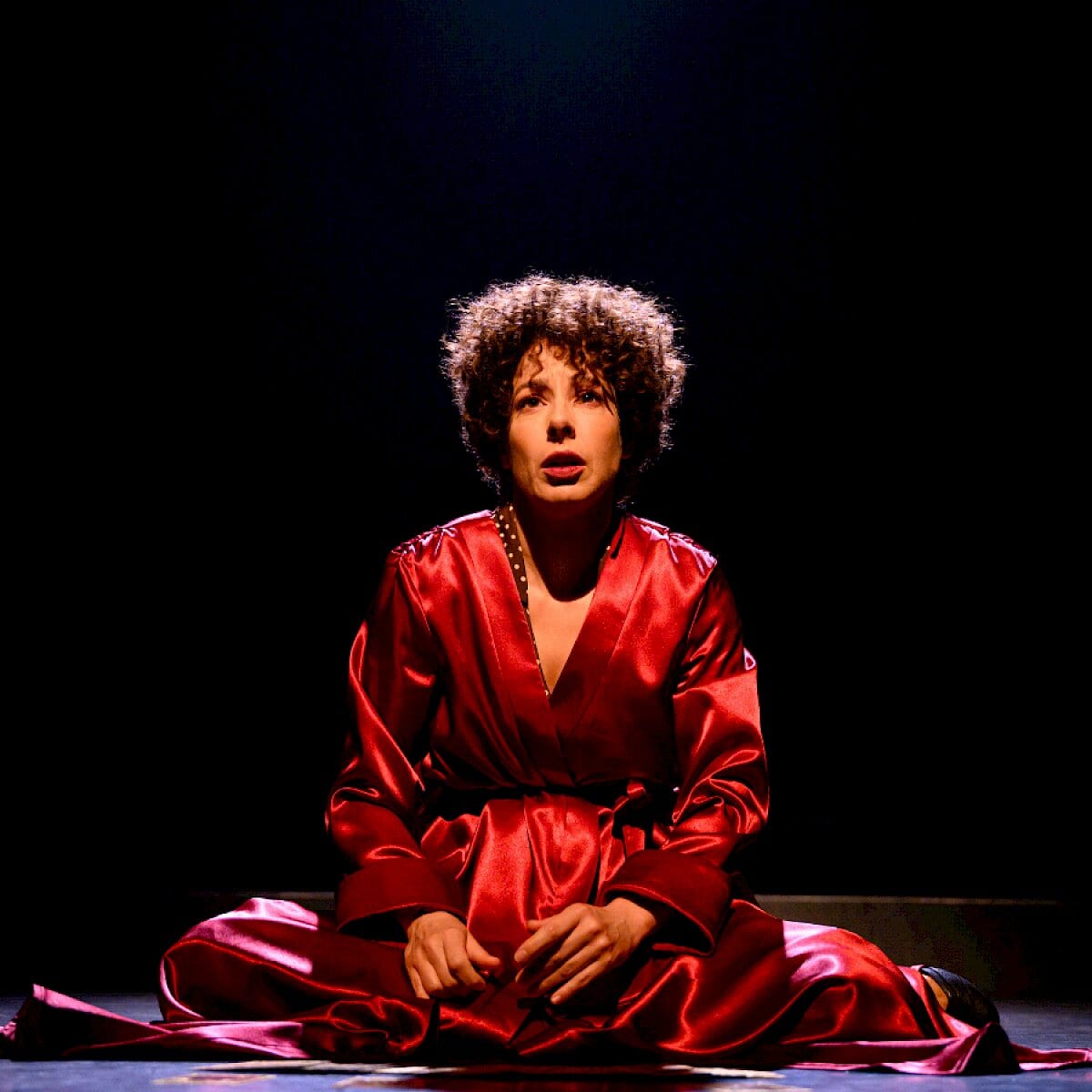 Piaf | Reprise, beeld van de organisator