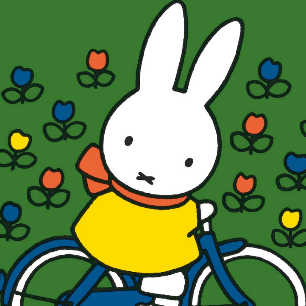 nijntje op de fiets | 2+, beeld van de organisator