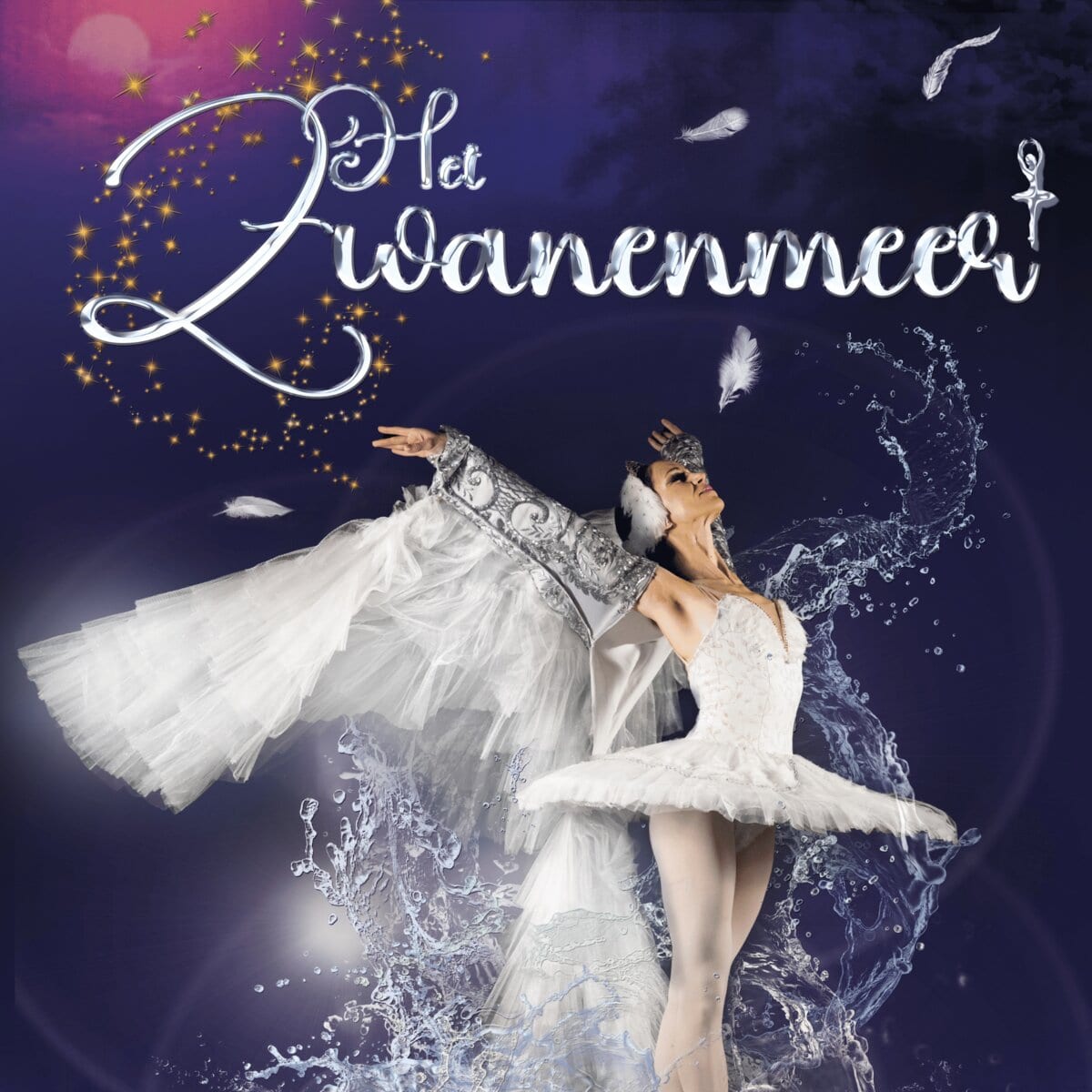Het Zwanenmeer, beeld van de organisator